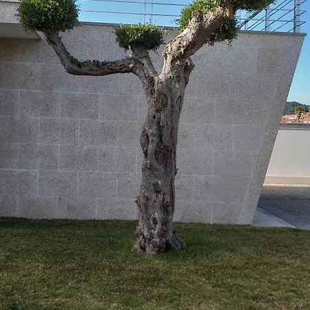 Ferienhaus Casa Do Chino